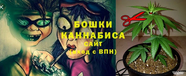 альфа пвп Вяземский