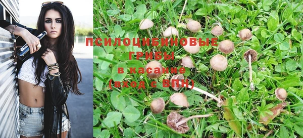 альфа пвп Вяземский