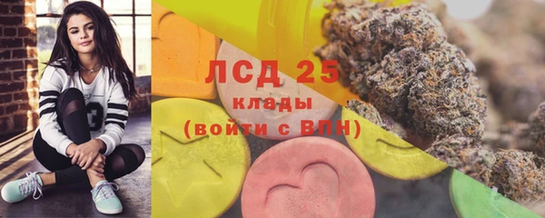соль ск Вязьма