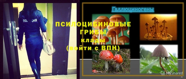 гидра Ступино