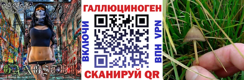 Псилоцибиновые грибы мухоморы  Купить закладки  Верхняя Салда 